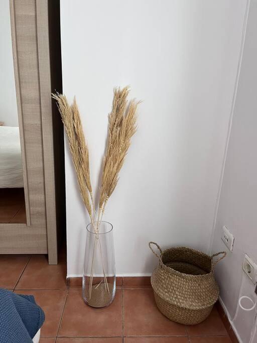 Apartmán Casa Lunita Arona  Exteriér fotografie