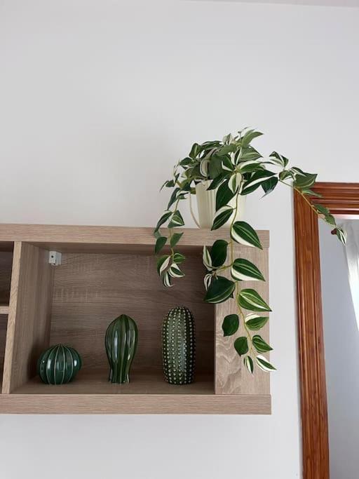 Apartmán Casa Lunita Arona  Exteriér fotografie